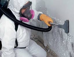 Biohazard Mold Removal in Clearwater, FL